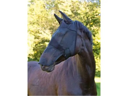 Masque protection anti-mouches cheval %%sep%% %%sitename%%