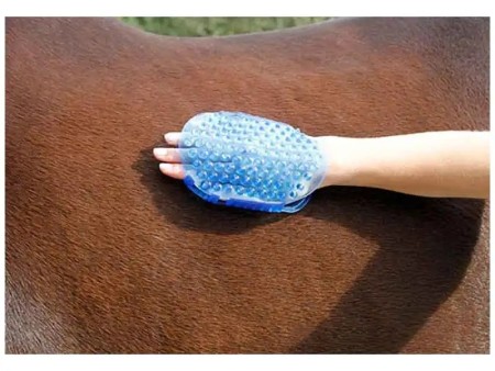 Étrille massage magnétique cheval %%sep%% %%sitename%%