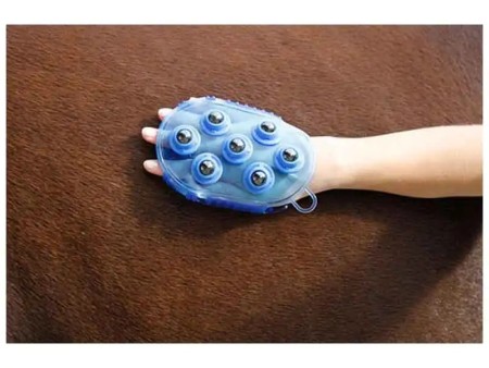 Étrille massage magnétique cheval %%sep%% %%sitename%%